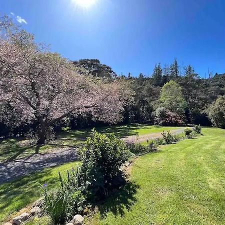 Coromandel Secluded Log Cabin Retreat Hikuai Esterno foto