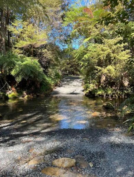 Coromandel Secluded Log Cabin Retreat Hikuai Esterno foto