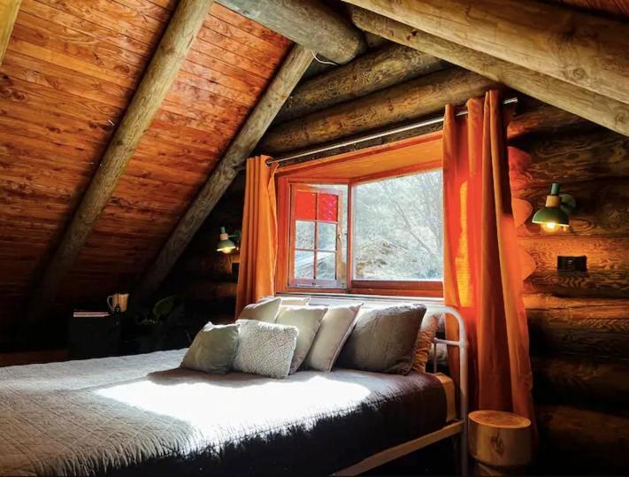 Coromandel Secluded Log Cabin Retreat Hikuai Esterno foto
