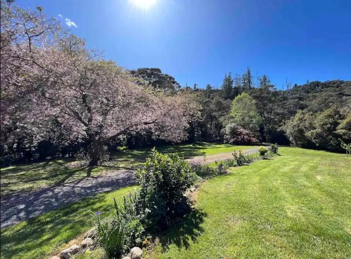 Coromandel Secluded Log Cabin Retreat Hikuai Esterno foto